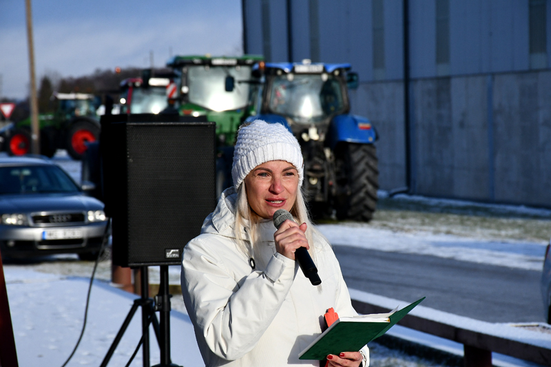 Autors:  Ivars Bogdanovs