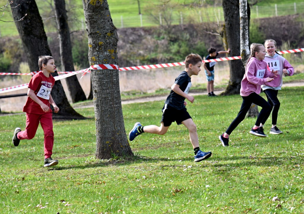 Autors: Uldis Varnevičs