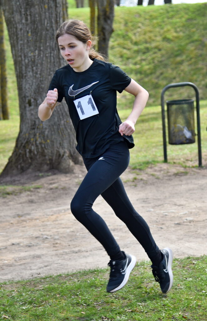 Autors: Uldis Varnevičs