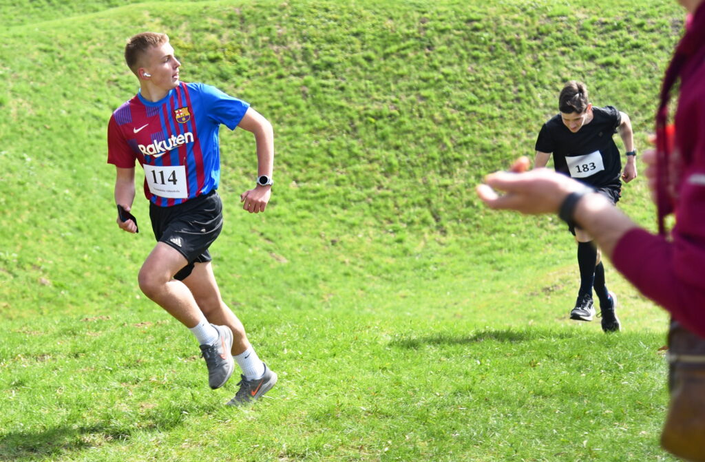 Autors: Uldis Varnevičs