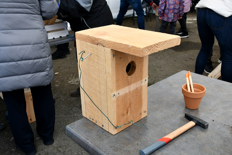 Autors: Ivars Bogdanovs