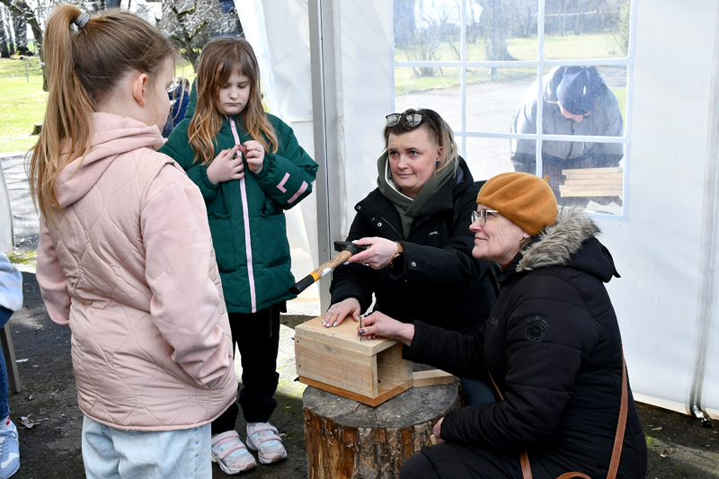 Autors: Ivars Bogdanovs