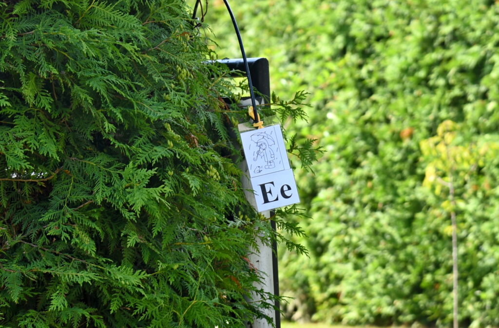 Autors: Uldis Varnevičs