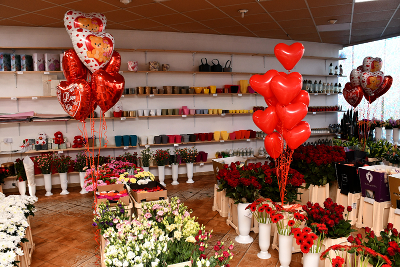 Autors: Ivars Bogdanovs