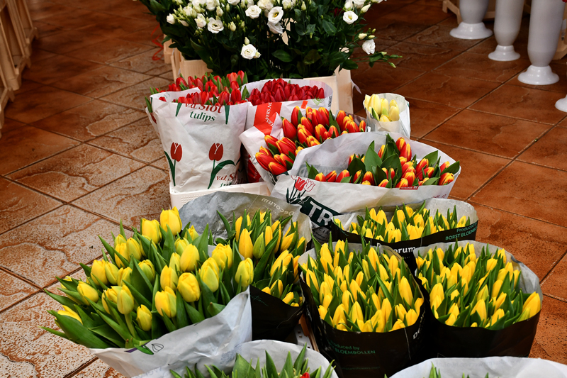 Autors: Ivars Bogdanovs