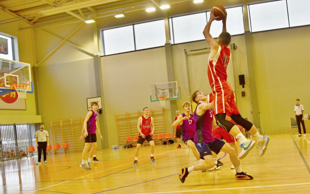 Autors: Uldis Varnevičs