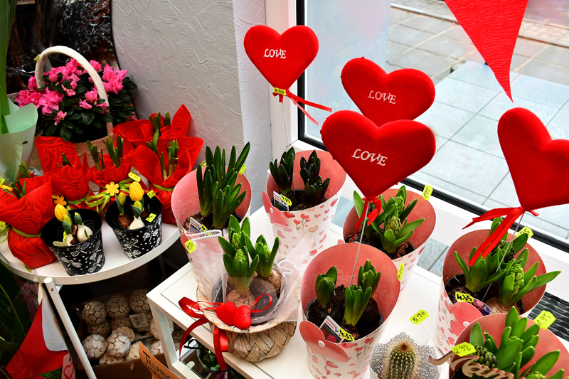 Autors: Ivars Bogdanovs