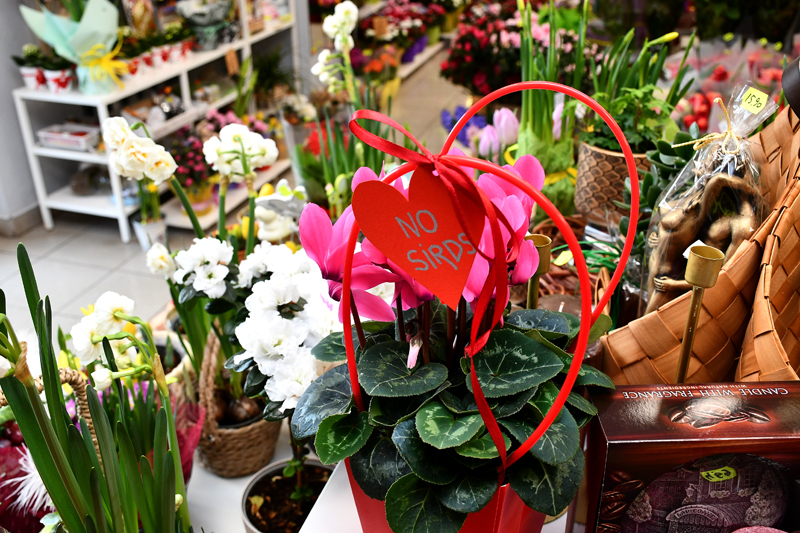 Autors: Ivars Bogdanovs