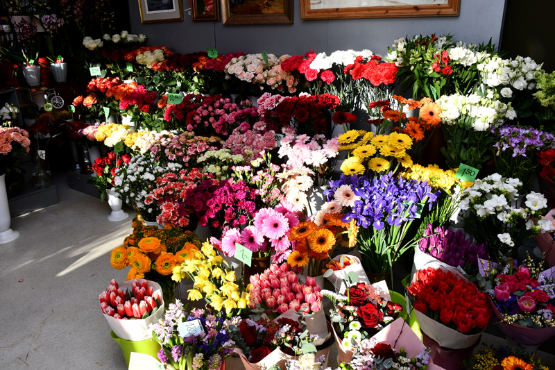 Autors: Ivars Bogdanovs