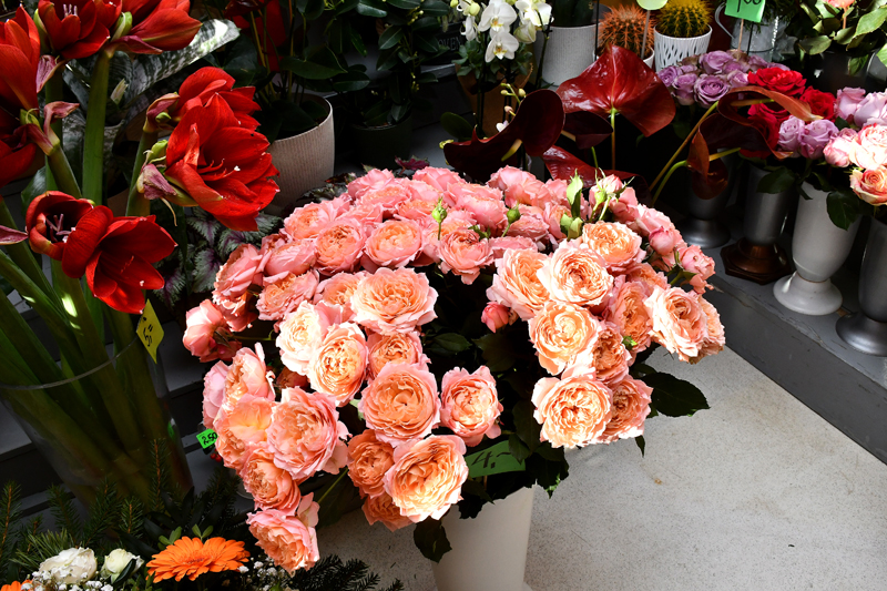 Autors: Ivars Bogdanovs