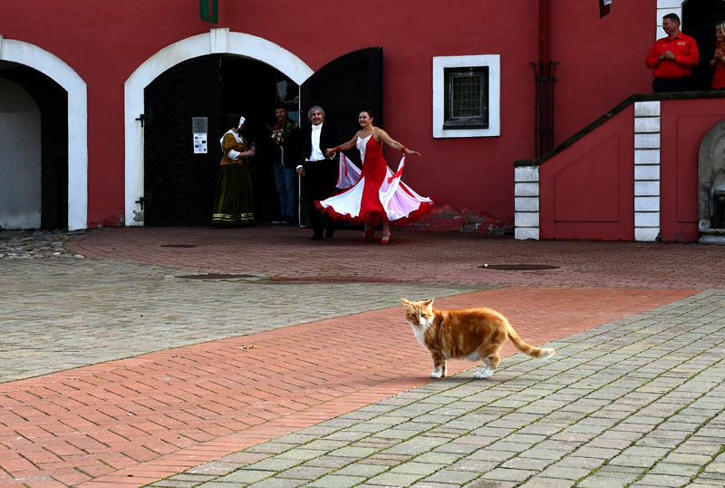 Autors: Ivars Bogdanovs