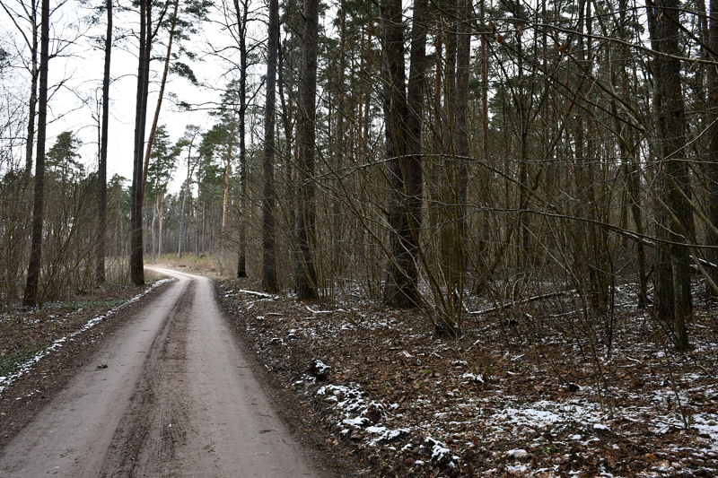 Autors: Ivars Bogdanovs