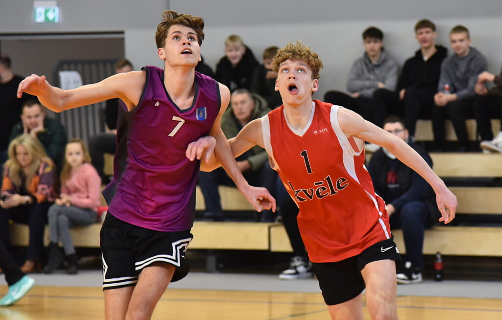 Autors: Uldis Varnevičs