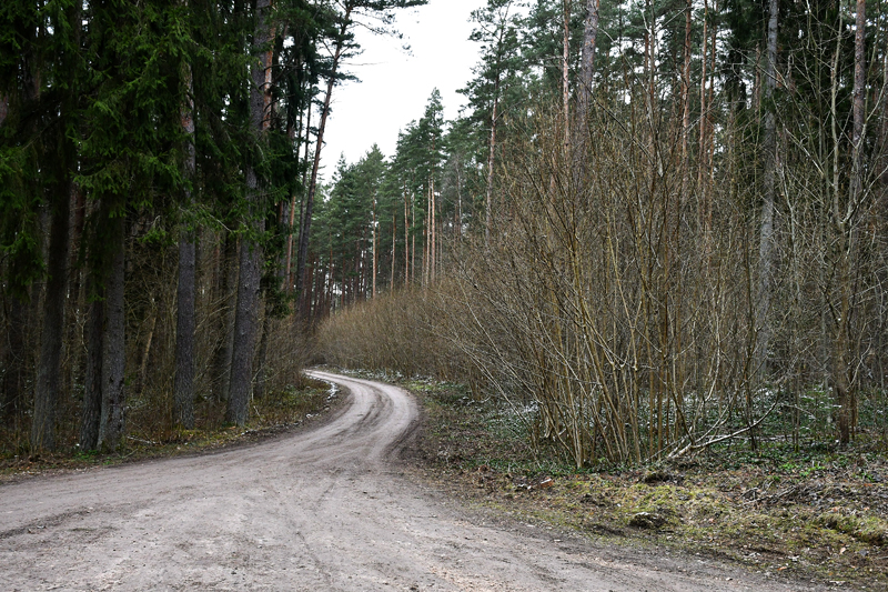 Autors: Ivars Bogdanovs