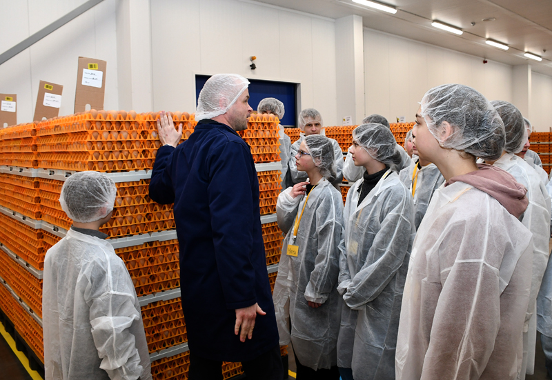 Autors: Ivars Bogdanovs