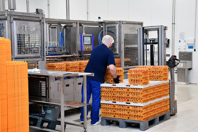 Autors: Ivars Bogdanovs