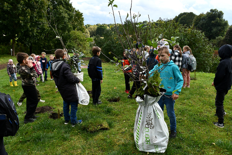 Autors: Ivars Bogdanovs