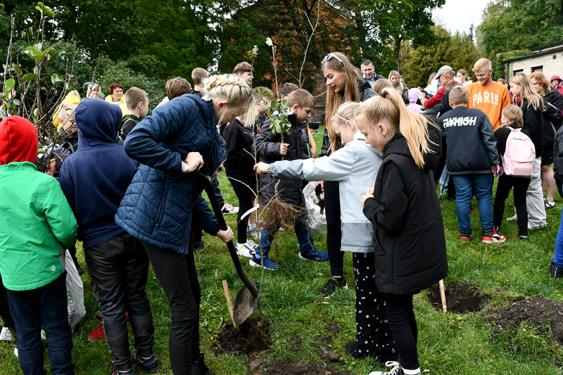 Autors: Ivars Bogdanovs