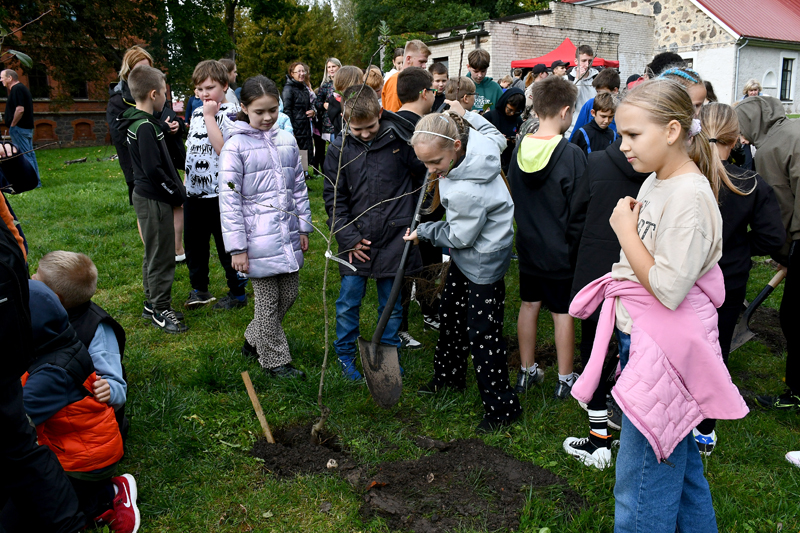 Autors: Ivars Bogdanovs