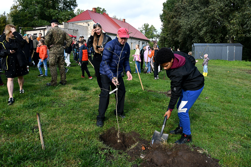 Autors: Ivars Bogdanovs