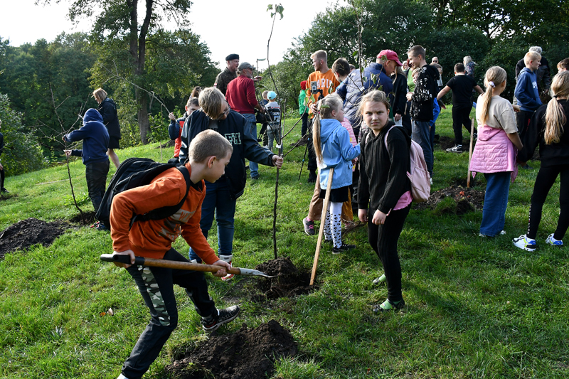 Autors: Ivars Bogdanovs