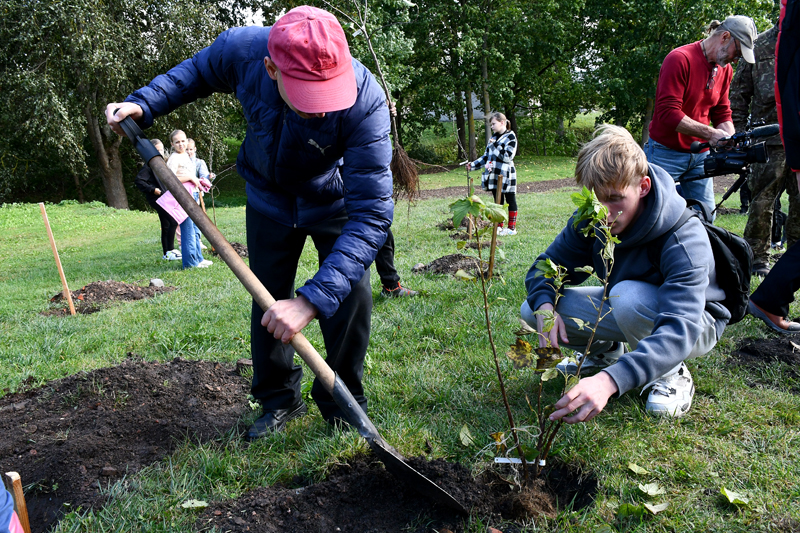 Autors: Ivars Bogdanovs