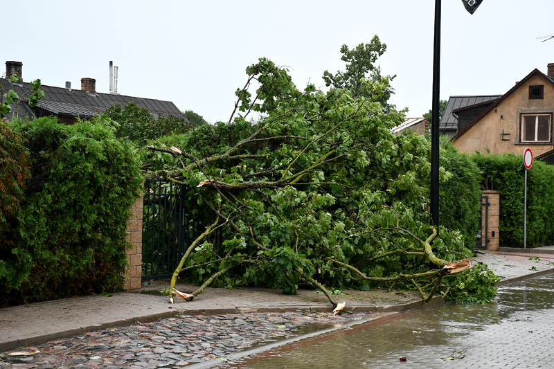 Autors: Ivars Bogdanovs