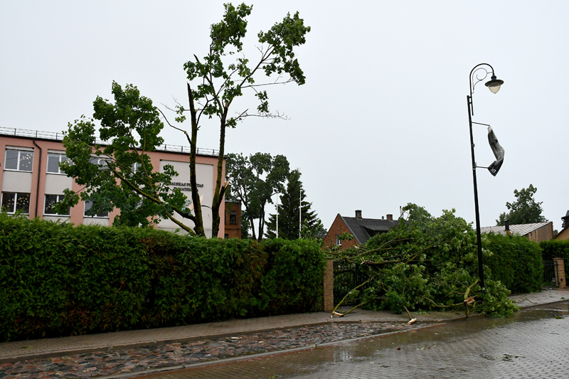 Autors: Ivars Bogdanovs