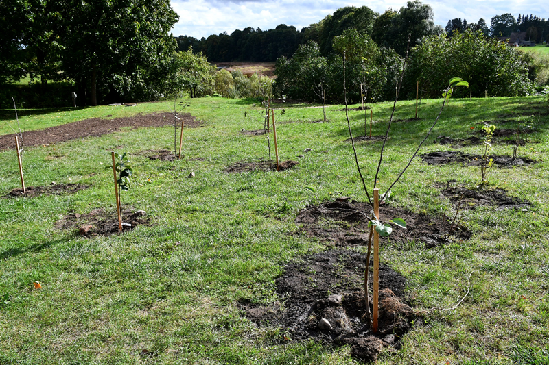 Autors: Ivars Bogdanovs