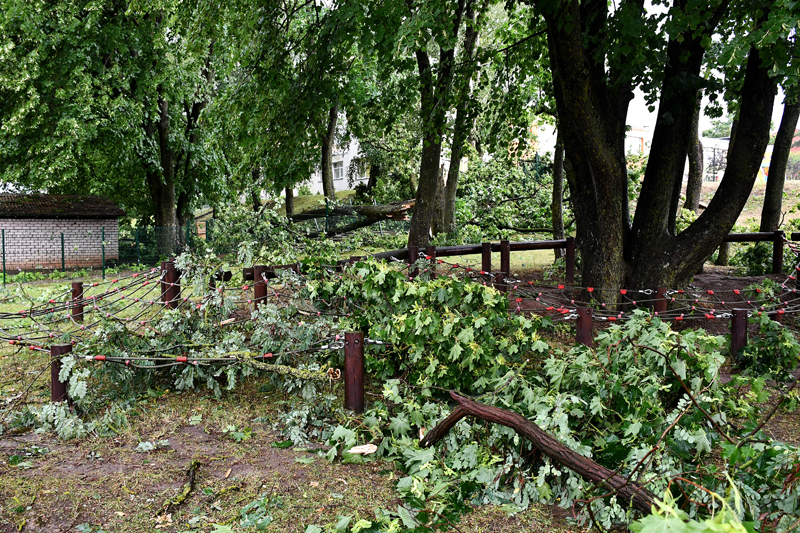 Autors: Ivars Bogdanovs