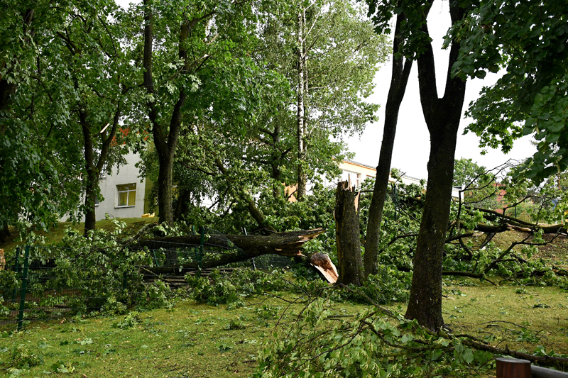 Autors: Ivars Bogdanovs