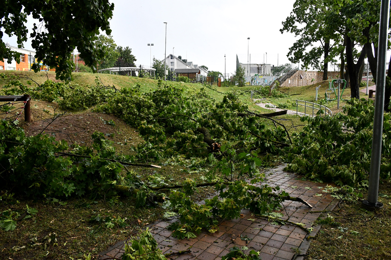 Autors: Ivars Bogdanovs