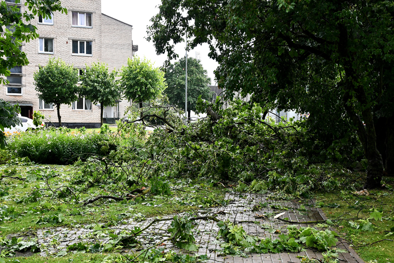 Autors: Ivars Bogdanovs