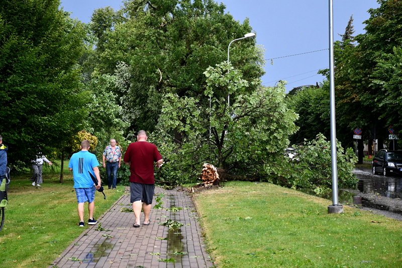 Autors: Ivars Bogdanovs