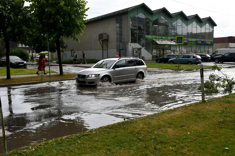 Autors: Ivars Bogdanovs