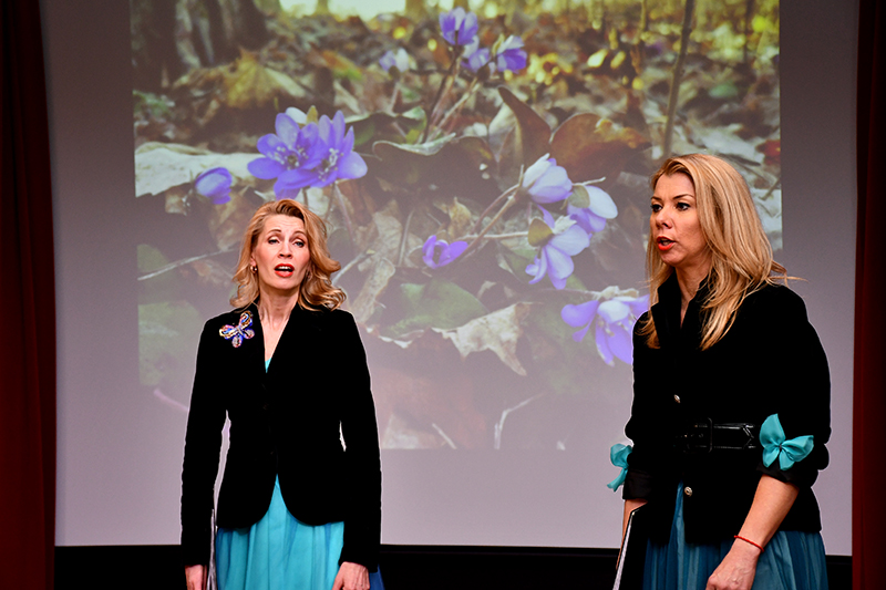 Autors: Ivars Bogdanovs