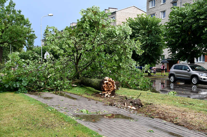 Autors: Ivars Bogdanovs