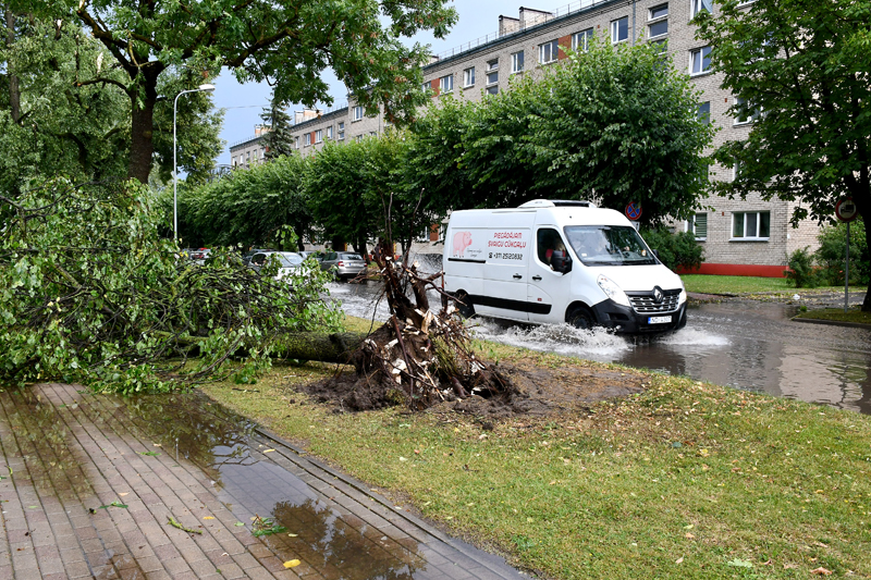 Autors: Ivars Bogdanovs