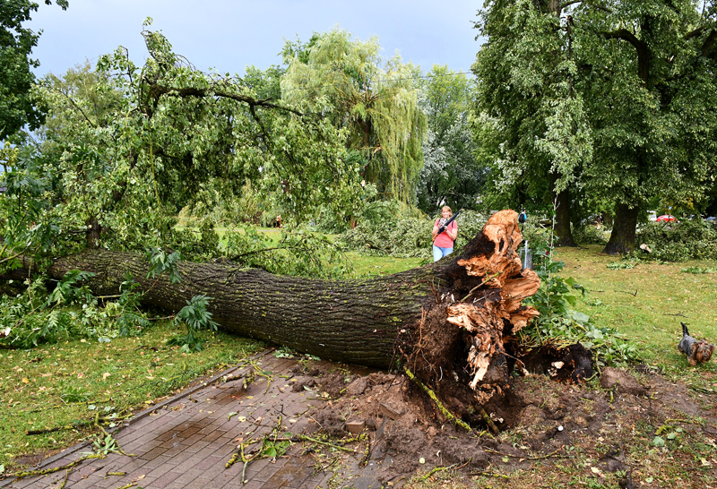 Autors: Ivars Bogdanovs