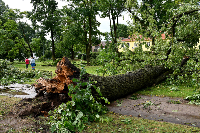 Autors: Ivars Bogdanovs