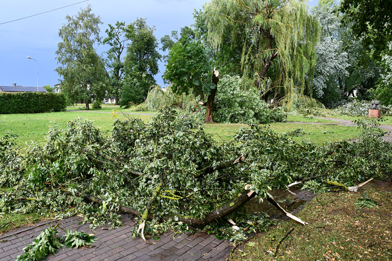 Autors: Ivars Bogdanovs