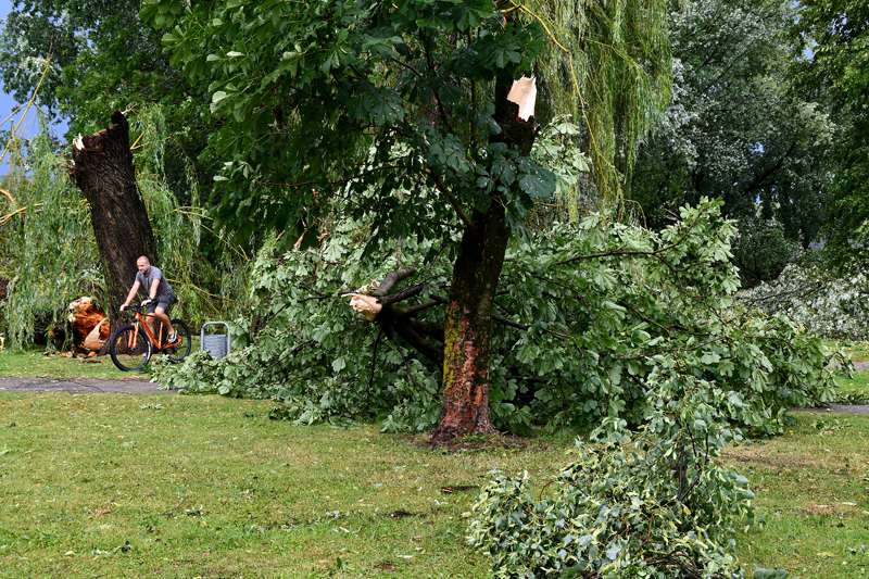 Autors: Ivars Bogdanovs