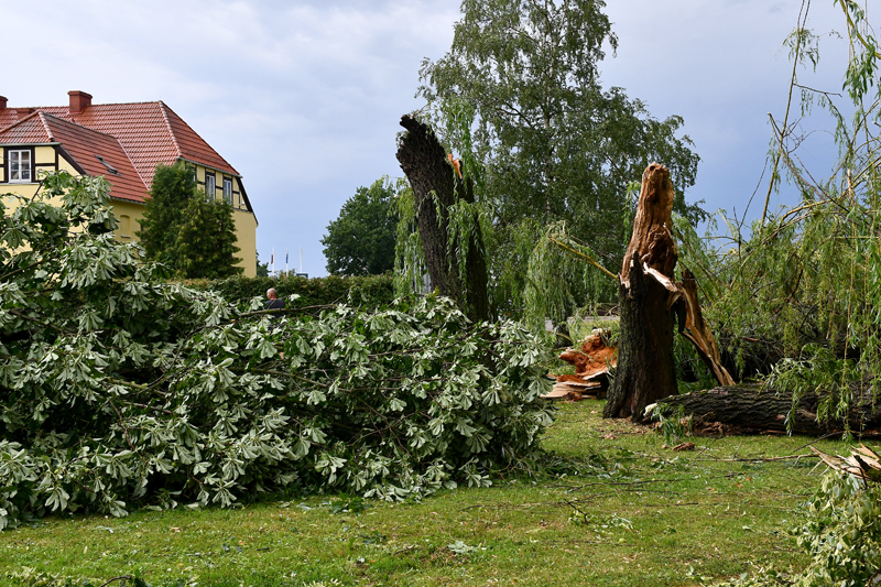 Autors: Ivars Bogdanovs