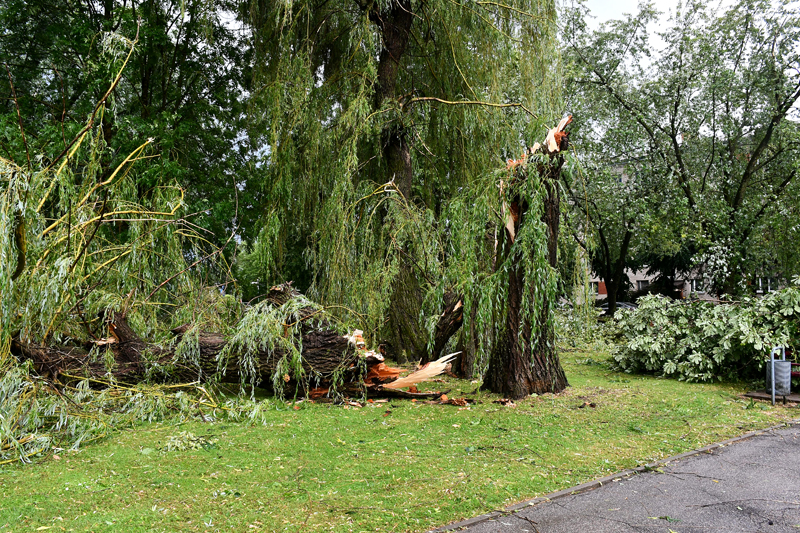 Autors: Ivars Bogdanovs