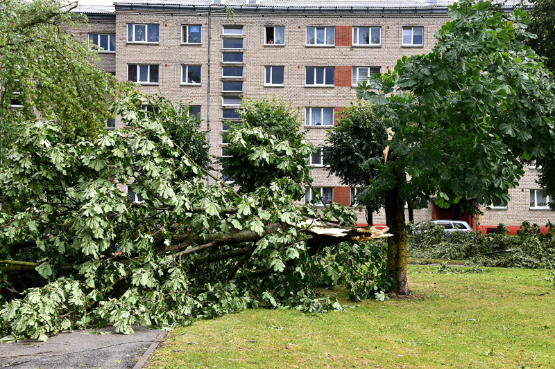 Autors: Ivars Bogdanovs