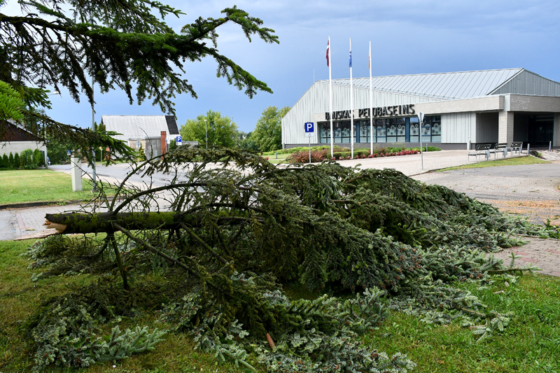 Autors: Ivars Bogdanovs