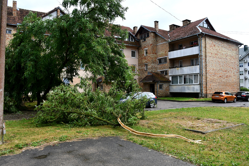 Autors: Ivars Bogdanovs