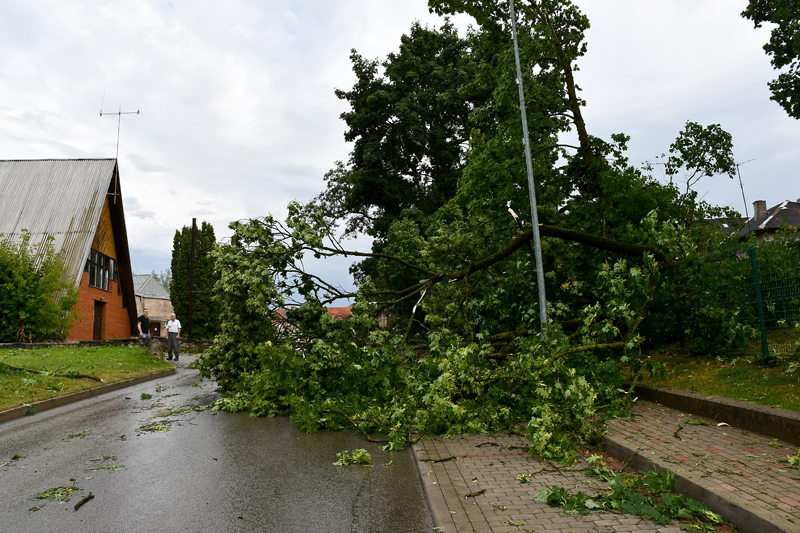 Autors: Ivars Bogdanovs