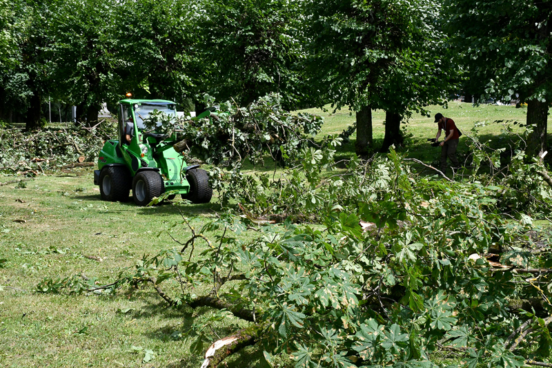 Autors: Ivars Bogdanovs