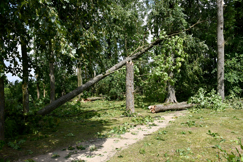 Autors: Ivars Bogdanovs